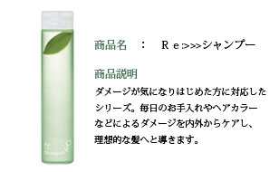 リ：シャンプー